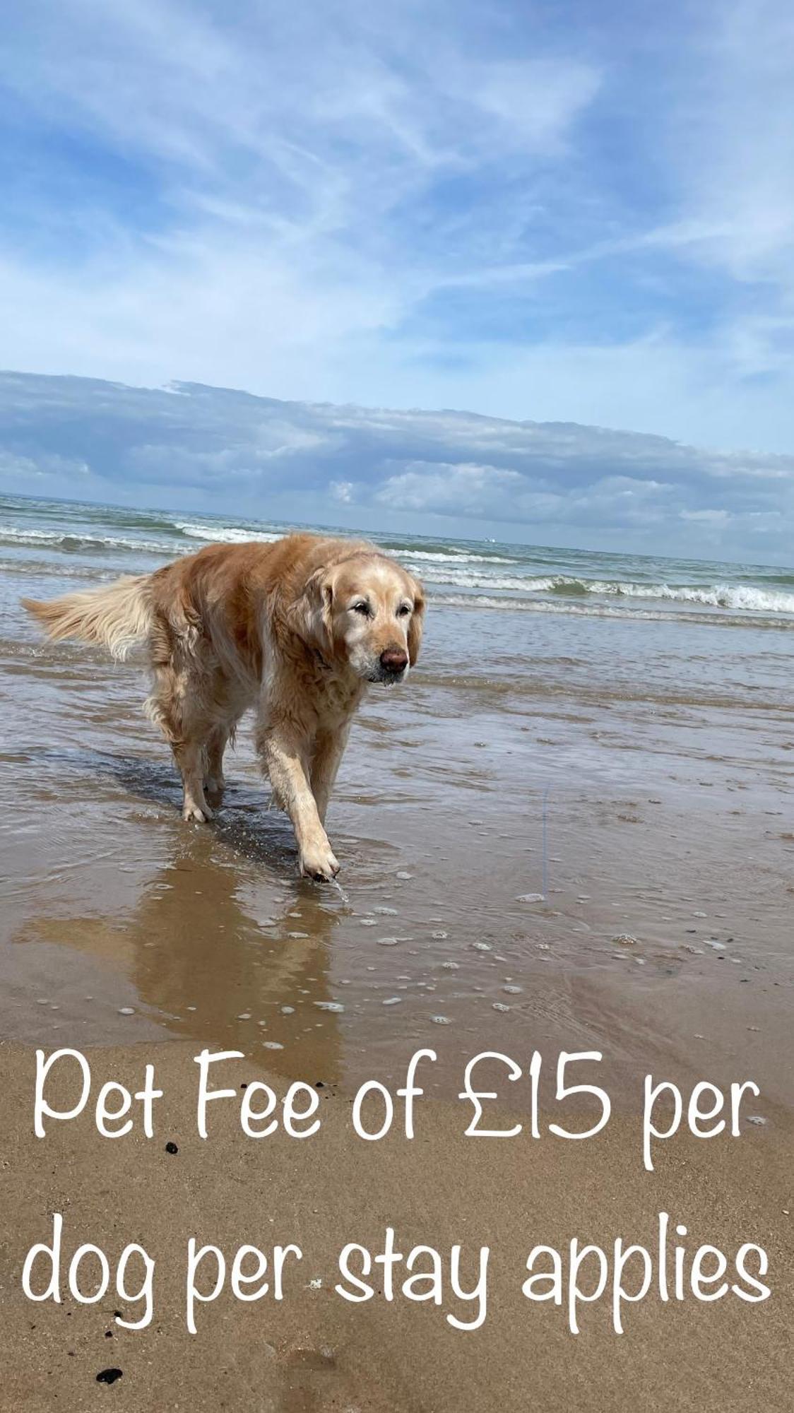 Fab Stay Uk - Coastal And Country Retreat With Free Secure Off Road Parking Minutes From Both Dover And Deal ภายนอก รูปภาพ